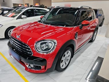 MINI COUNTRYMAN 2019, фото 1