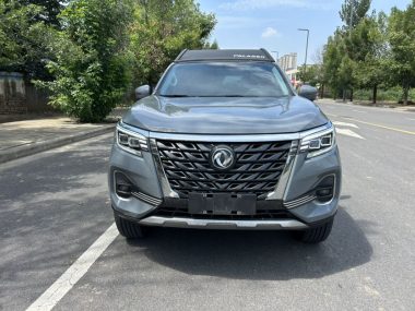 Dongfeng Palasuo 2.0T — фото 2