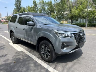 Dongfeng Palasuo 2.0T — фото 3