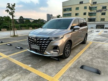 Roewe iMAX8 2024, фото 1