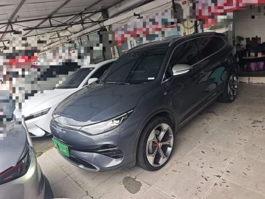 Denza X 2022, фото 1