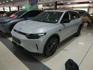 Leapmotor C11 2023, фото 1
