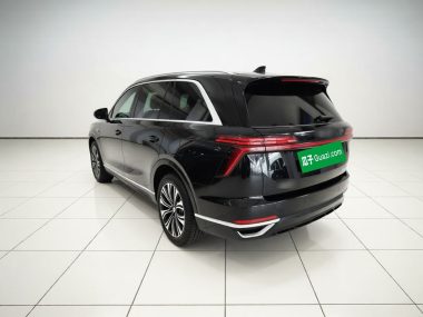 WEY Blue Mountain 4WD Ultra Long Range Edition — фото 4