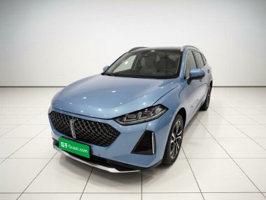 WEY DHT-PHEV 2022, фото 1