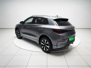 BYD e2 Glory Edition Luxury Version — фото 4