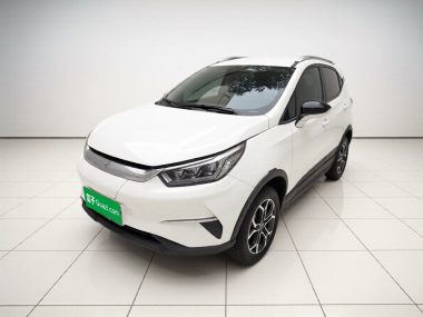 BYD Pro 2022, фото 1