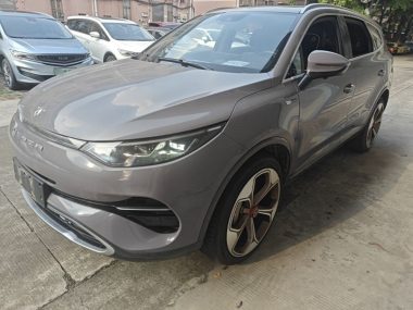 Denza X 2020, фото 1