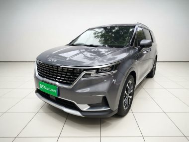 Kia Carnival 2022, фото 1