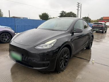Tesla Model Y 2021, фото 1
