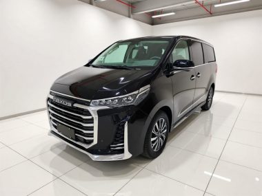 Maxus G20 2022, фото 1