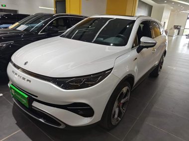Denza X 2021, фото 1