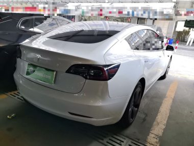 Tesla Model 3 (Import) Standard Range RWD Upgraded Edition — фото 4