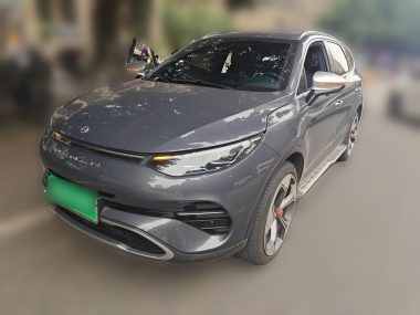 Denza X 2021, фото 1