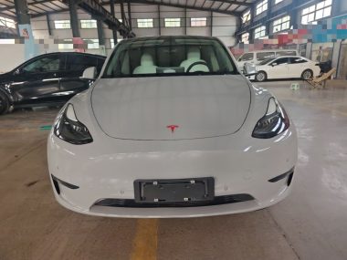 Tesla Model Y Standard Range RWD Edition — фото 2