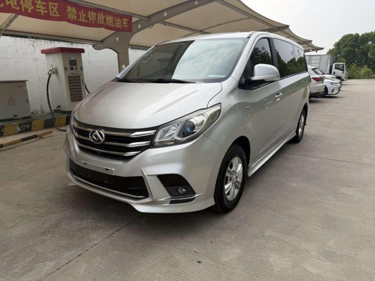 Maxus G10 PLUS 2.0T VI