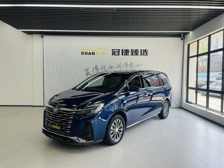 Buick GL8 Land Business Class 2.0T Luxury