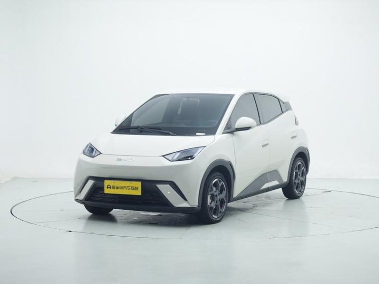 BYD Seagull 305KM Freedom