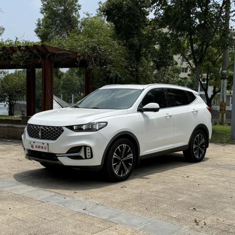 WEY VV6 2.0T +