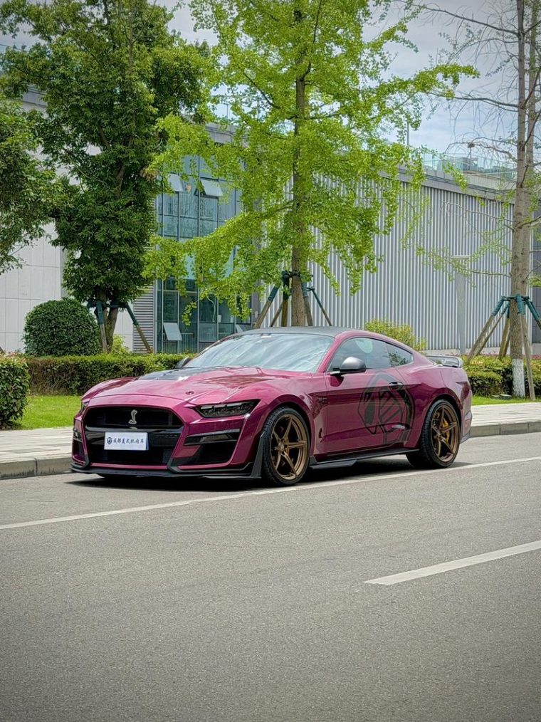 Ford Mustang 5.0L V8 GT
