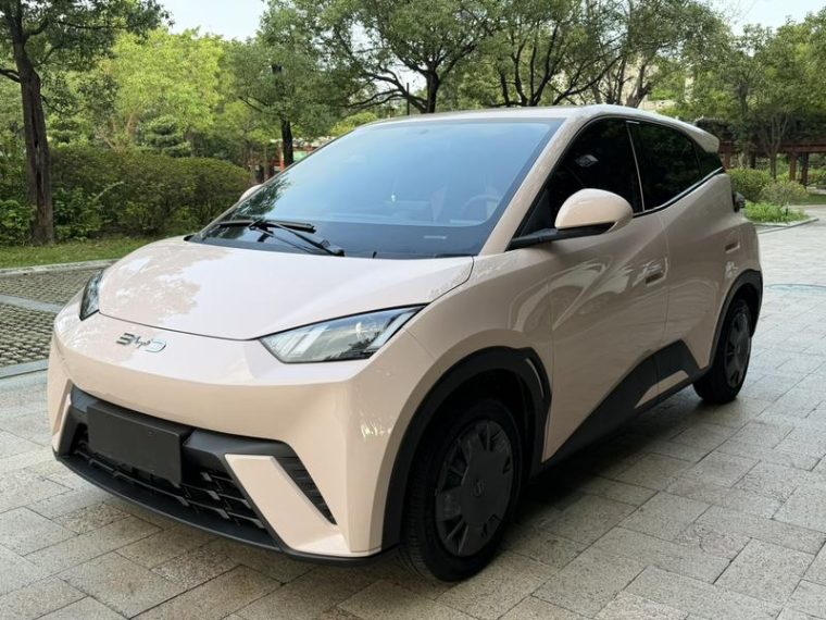 BYD Seagull Smart Driving 305KM Vitality