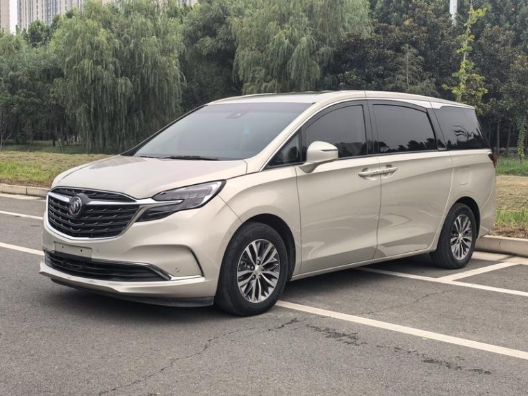 Buick GL8 ES Luzun 653T Premium