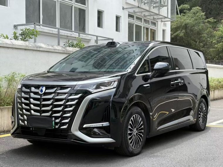 Denza D9 DM 4WD Zunhang