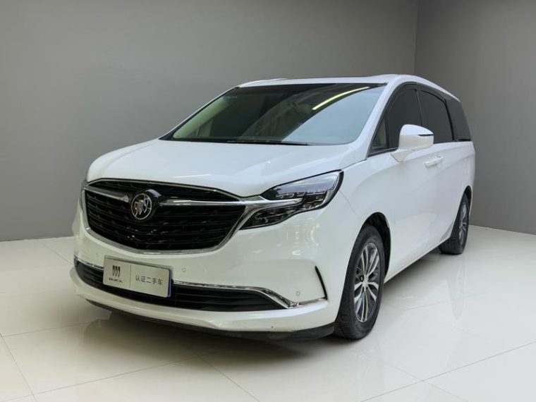 Buick GL8 ES Luzun 653T Premium