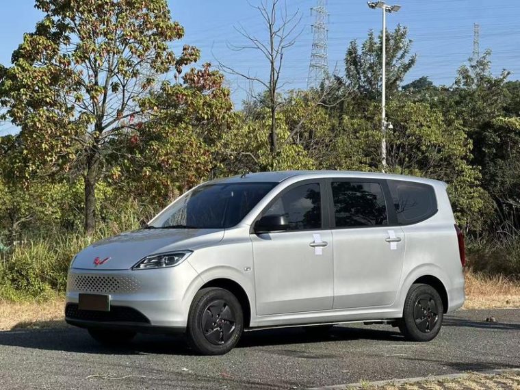 Wuling Hongguang 50KM