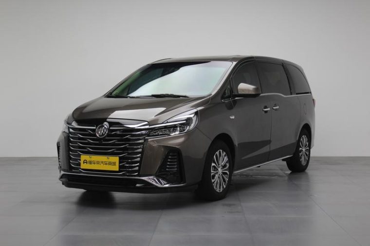 Buick GL8 Land Business Class 2.0T Luxury