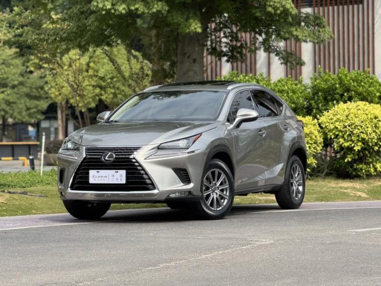 Lexus NX 200 AWD Blade Style