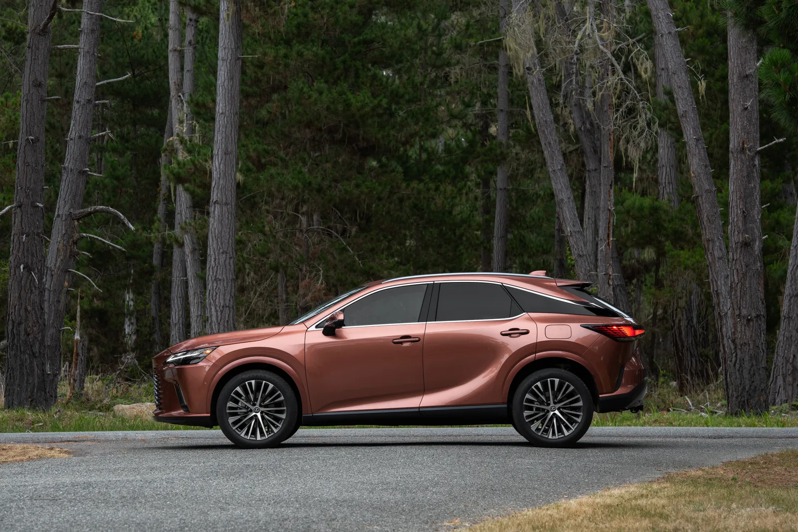Lexus RX 2026 — вид сбоку, медный кузов