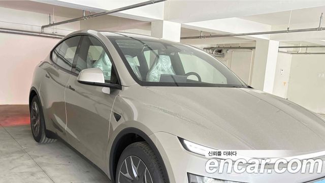 Tesla Model Y Premium Long Range AWD - фото 0