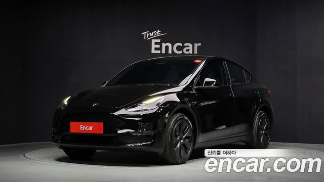 Tesla Model Y Long Range AWD - фото 0