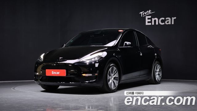 Tesla Model Y Long Range AWD - фото 0