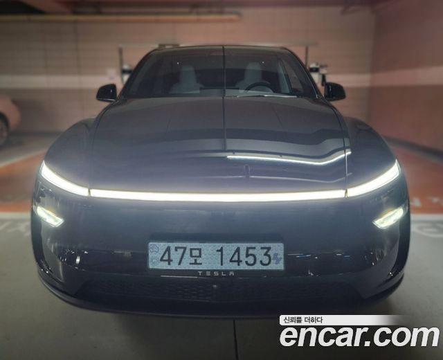 Tesla Model Y Long Range AWD - фото 0