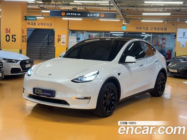 Tesla Model Y Long Range AWD - фото 0