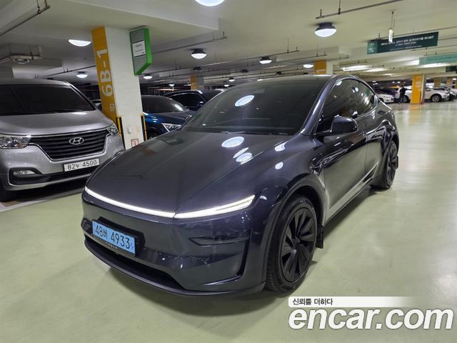 Tesla Model Y Long Range AWD - фото 0