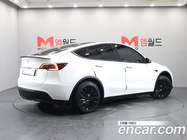Tesla Model Y RWD - фото 1