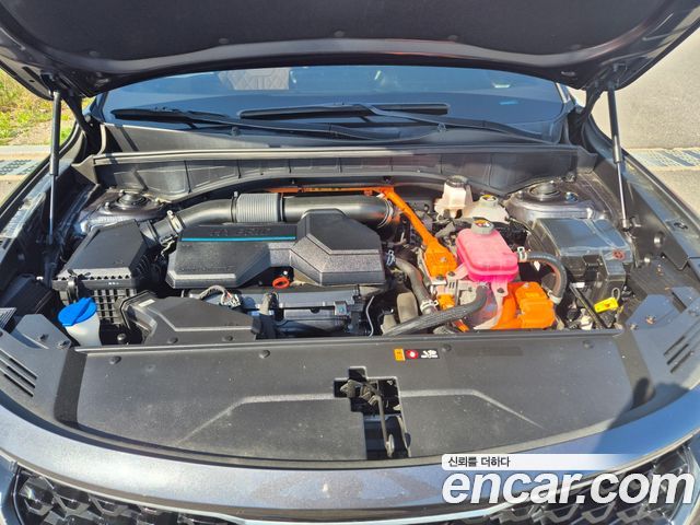 Kia Sorento 4-го поколения HEV 1.6 2WD Noblesse - фото 4