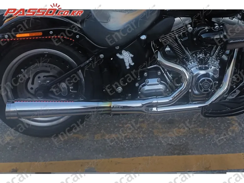 Harley-Davidson Flstfb - фото 6