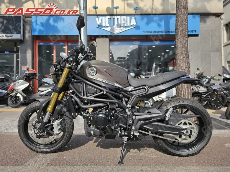 Benelli Leoncino 800 - фото 1