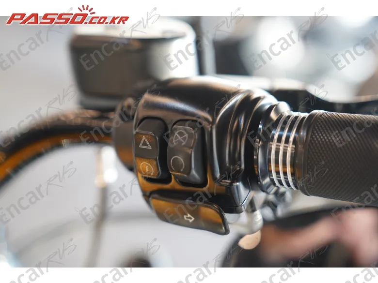 HARLEY-DAVIDSON XL 1200 X FORTY EIGHT 48 - фото 5