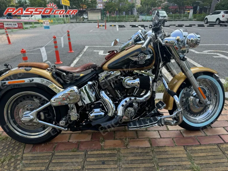 Harley-Davidson Flstf 2017, фото 1