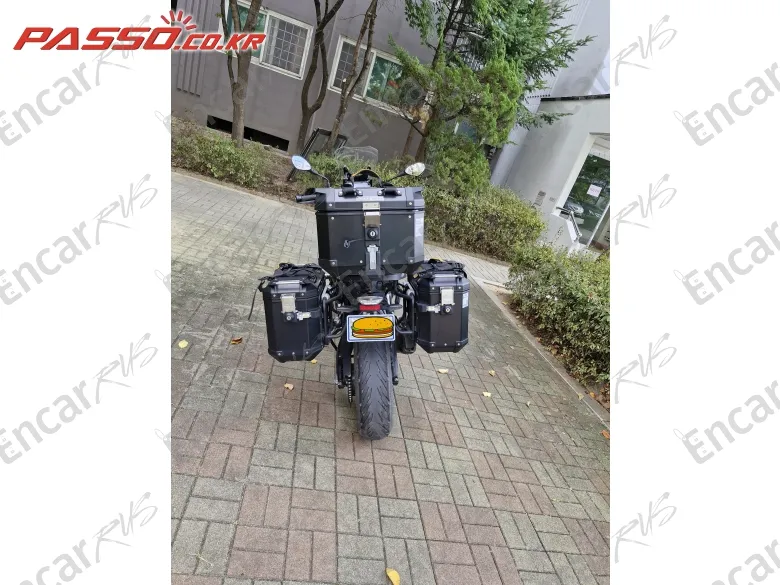 Bmw F 900 Xr - фото 2