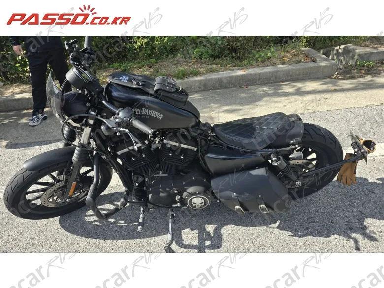 HARLEY-DAVIDSON XL 883 N - фото 0