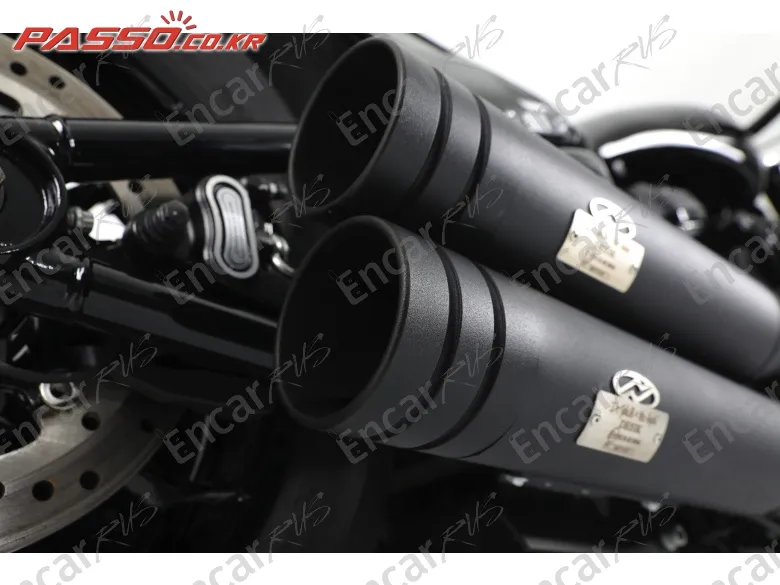 Harley-Davidson Softail Low Rider S - фото 6