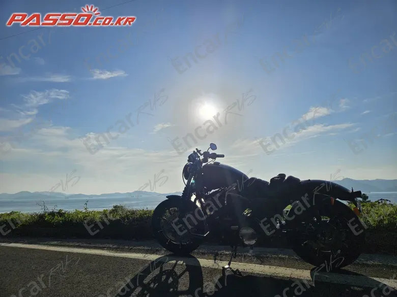 Harley-Davidson Xl 883 - фото 1