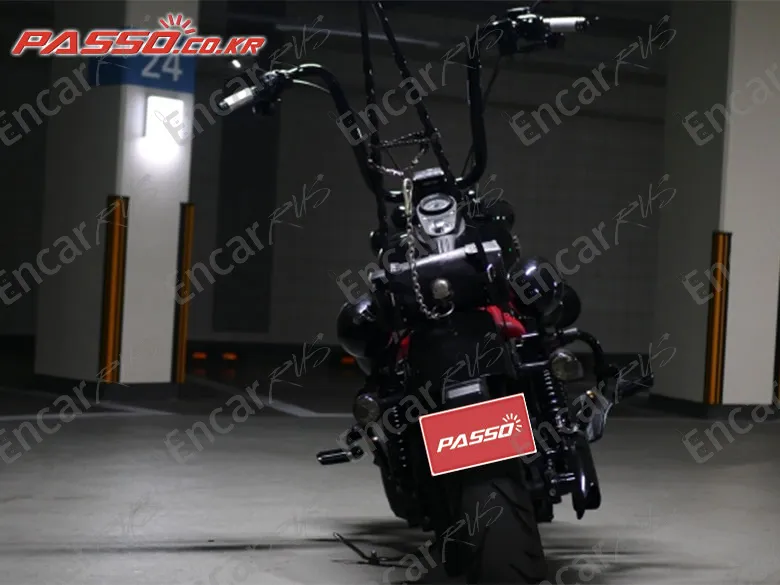 HARLEY-DAVIDSON FXDBI - фото 2