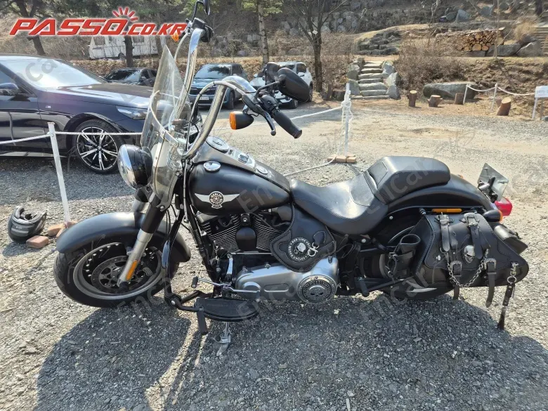 Harley-Davidson Flstfb - фото 1