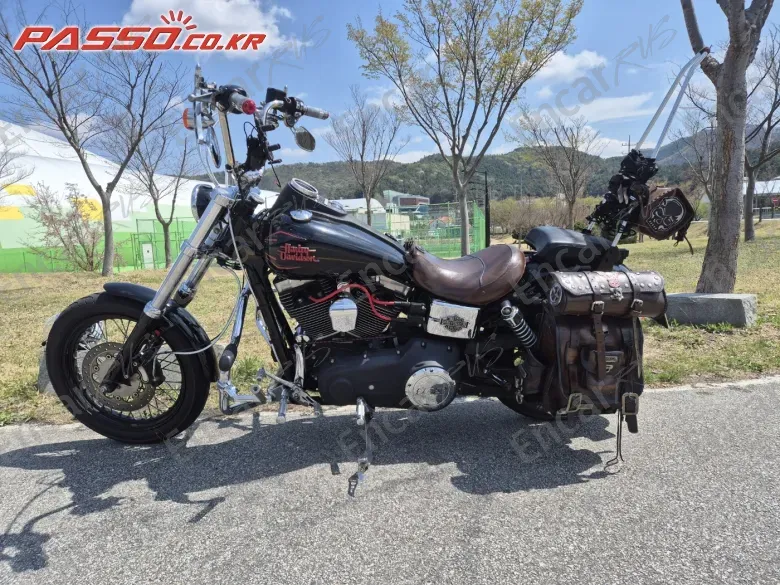 HARLEY-DAVIDSON FXDBI - фото 1